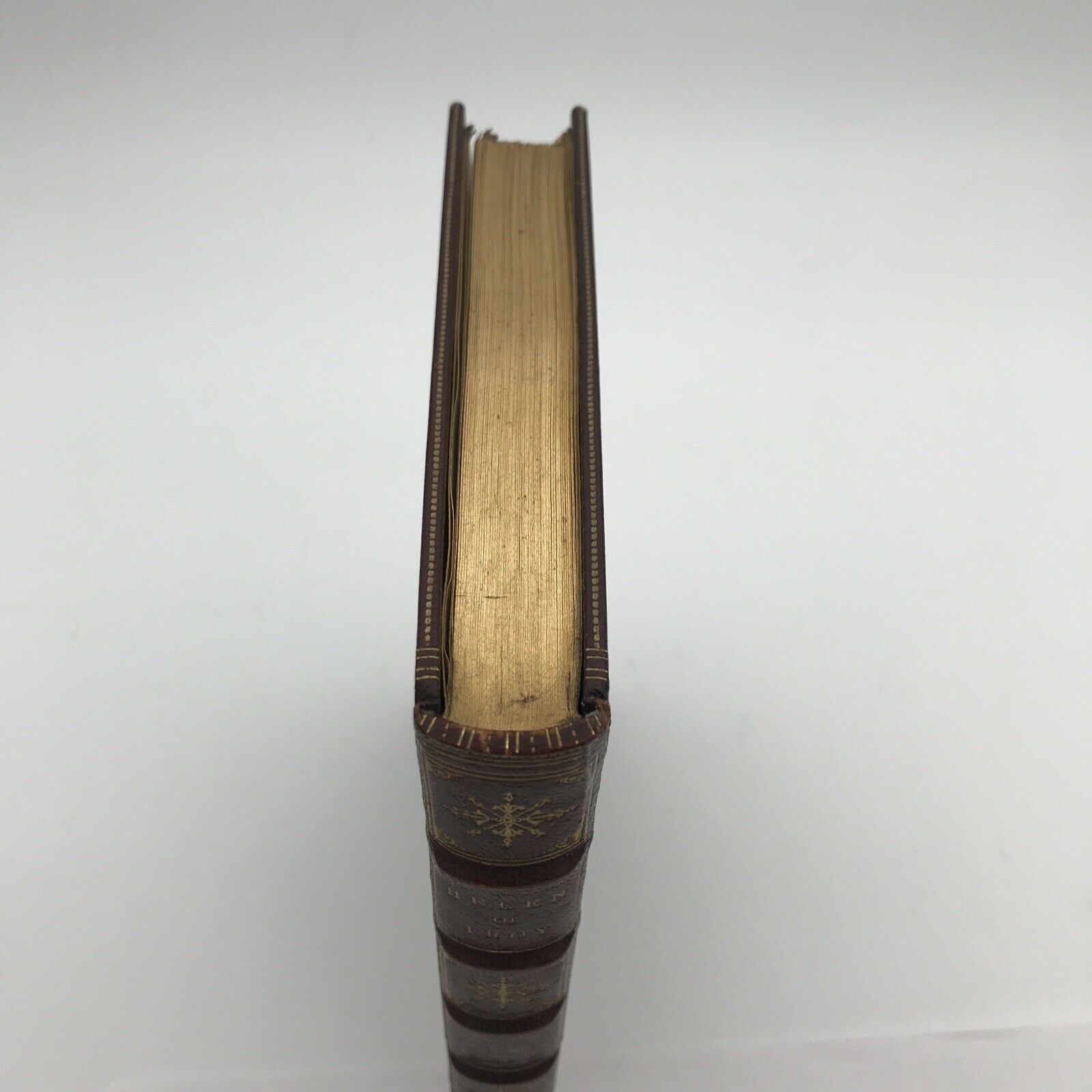 Helen Of Troy By A. Lang 1882 Fine Binding - Image 3