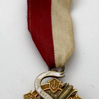 National Society New England Women Membership Medal Pin & Ribbon RG