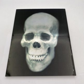 I Am As You Will Be: The Skeleton In Art - Xavier Tricot - 2007