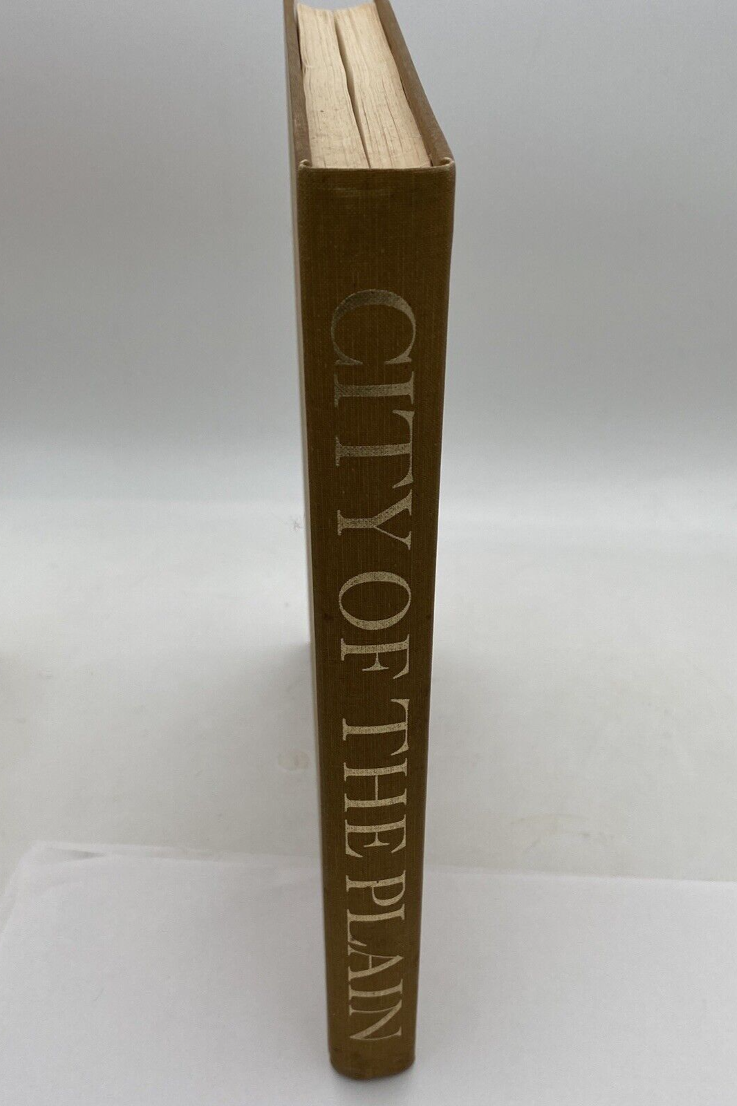 The City of the Plain Sacramento in the Nineteenth Century Joan Didion w/ Letter - Image 12