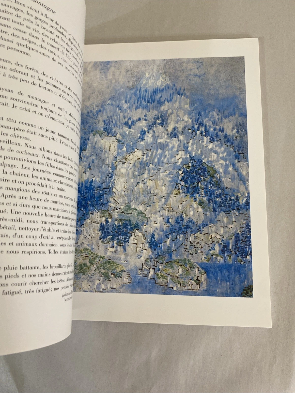 A Chacun Sa Montagne 1995 Signed Ltd 46/50 Swiss Alpine Art Catalog - Image 12