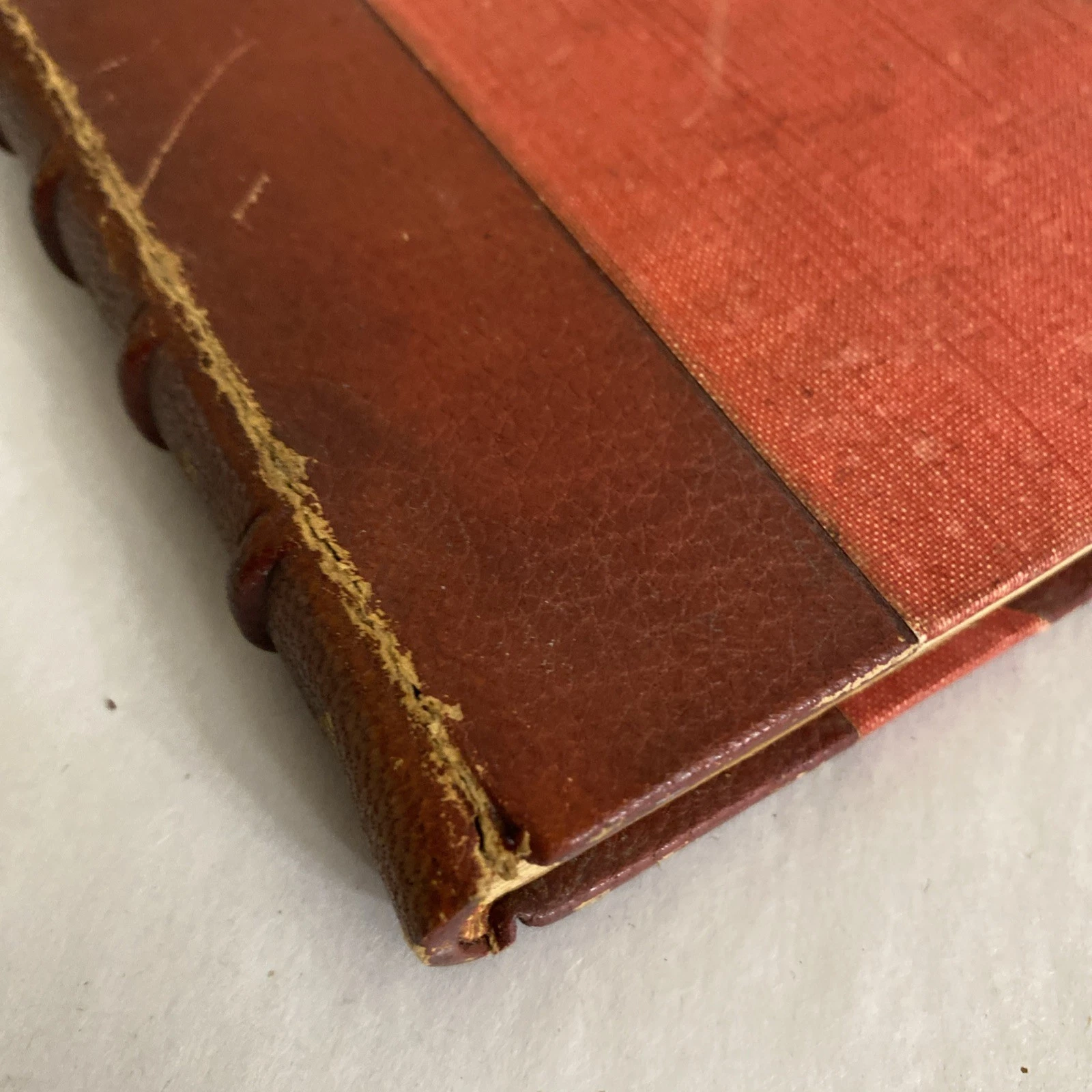 1899 Rubaiyat of Omar Khayyam Macmillan Golden Treasury Leather Spine Gilt Inscr - Image 4