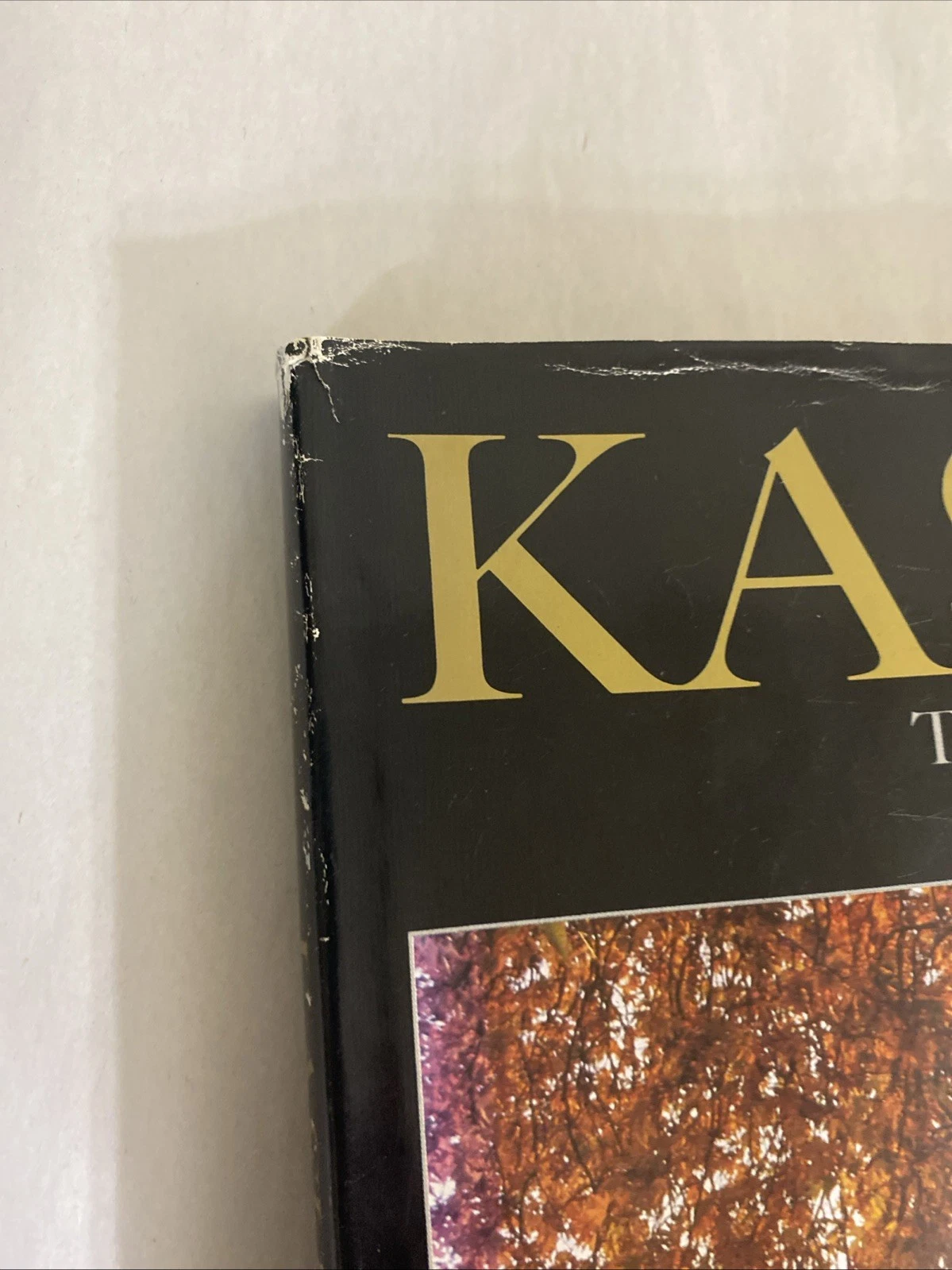 Kashmir Pageant of the Seasons 1987 Photo Book HC/DJ Signed Rita Dar Inscrd 1989 - Image 5