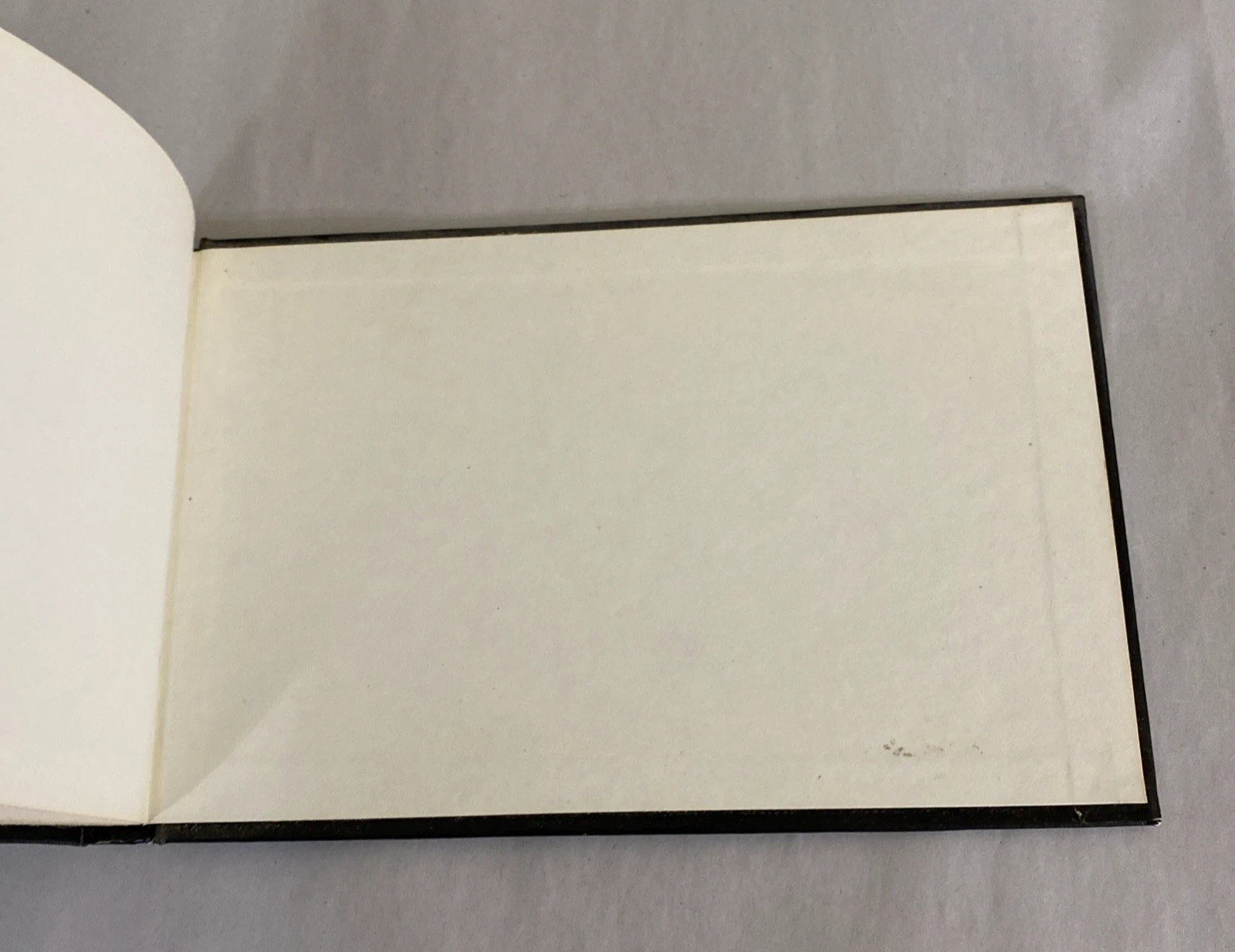 1969 Birds Robert Jay Lifton first printing Random House humor cartoon book rare - Image 10