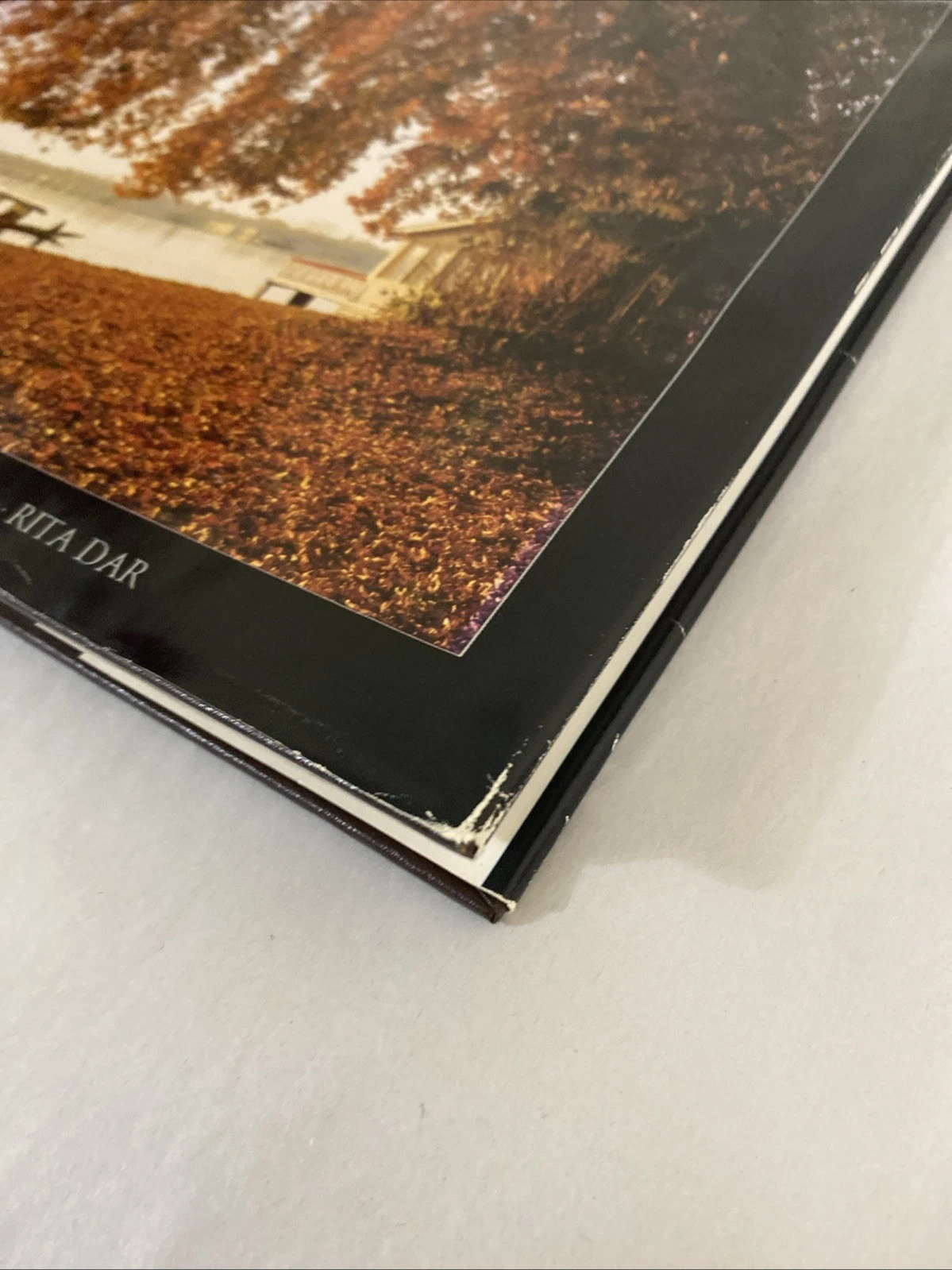 Kashmir Pageant of the Seasons 1987 Photo Book HC/DJ Signed Rita Dar Inscrd 1989 - Image 3