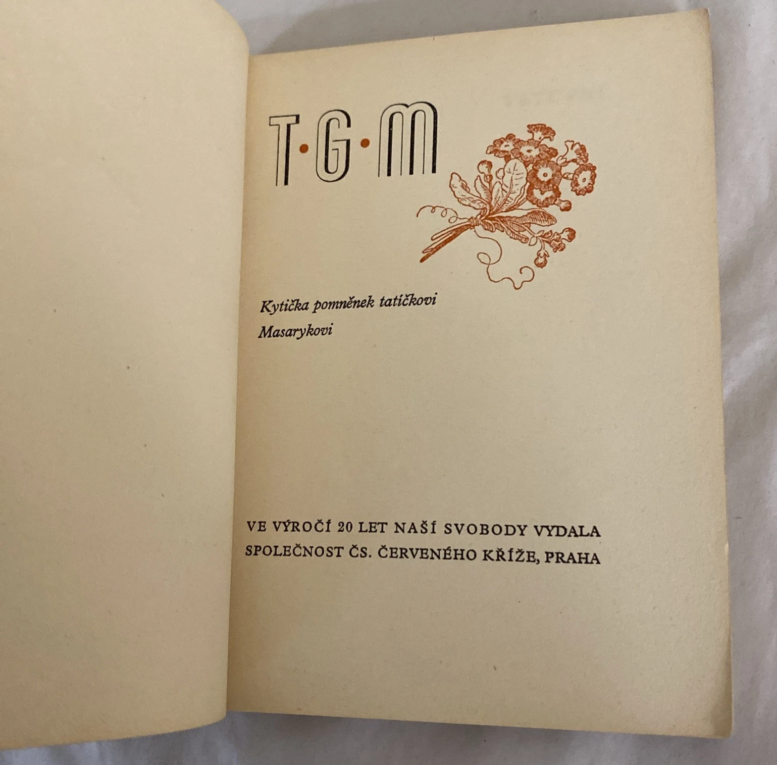 1938 T.G.M. Czech Masaryk Memorial Book Prague Red Cross Tribute - Image 3