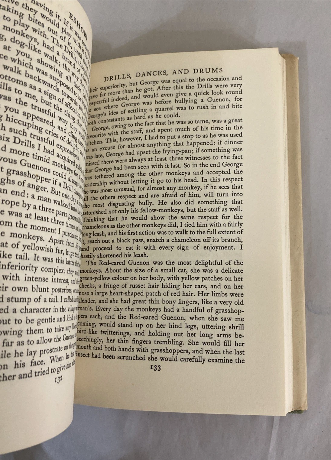 The Overloaded Ark By Gerald Durrell 1953 Hardcover - Image 9