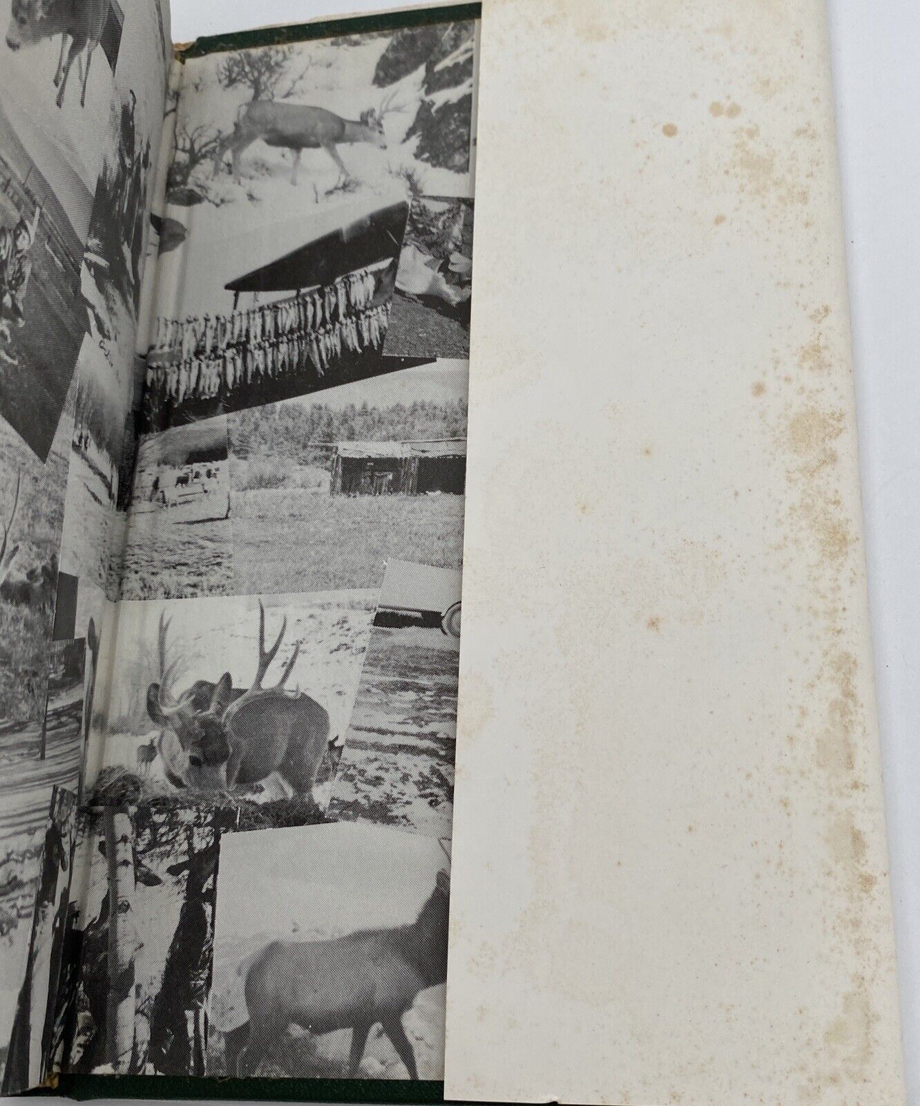 Hunters attract flies-- fishermen do too! Hardcover – 1985 - Signed 1st Edition - Image 11