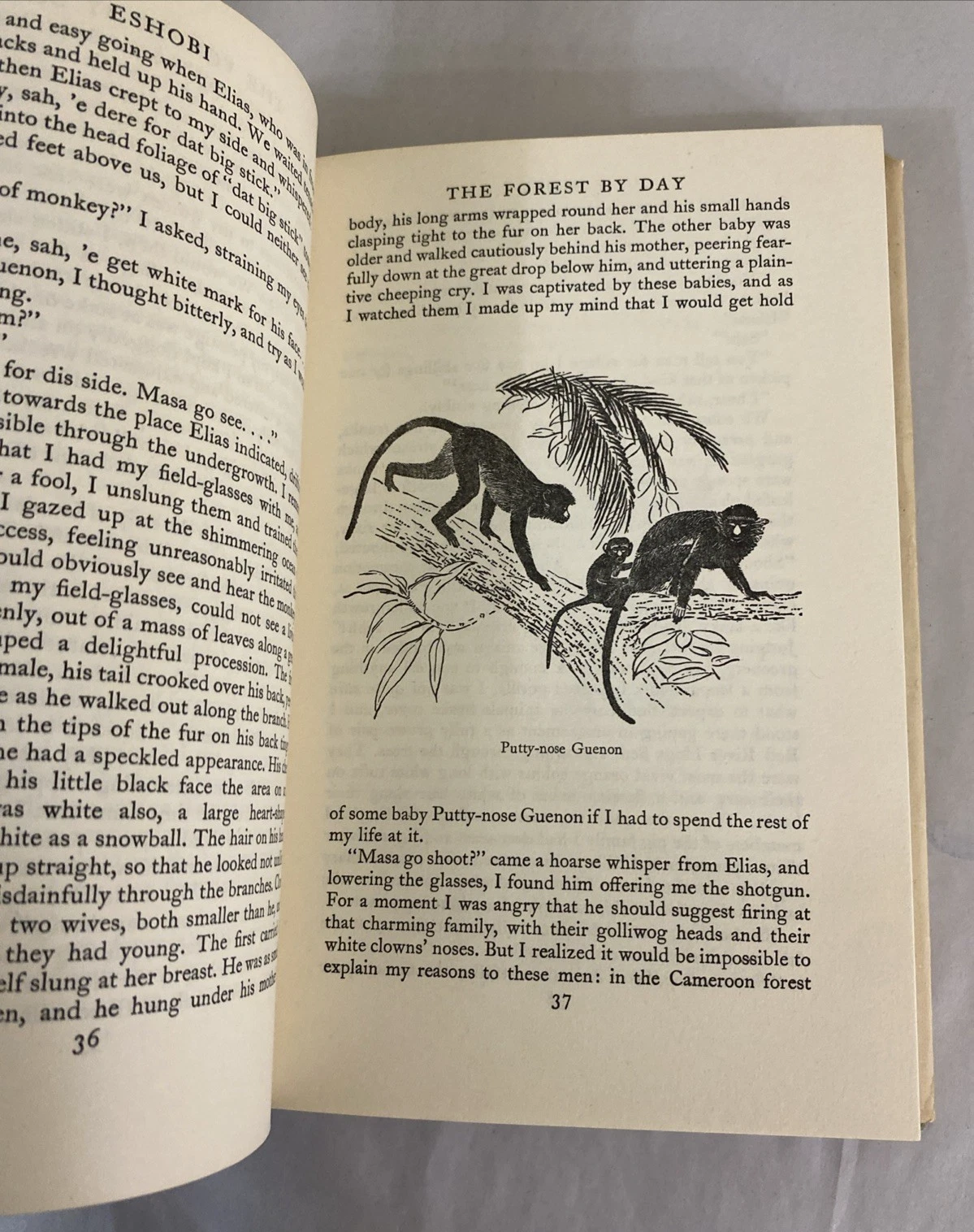 The Overloaded Ark By Gerald Durrell 1953 Hardcover - Image 8
