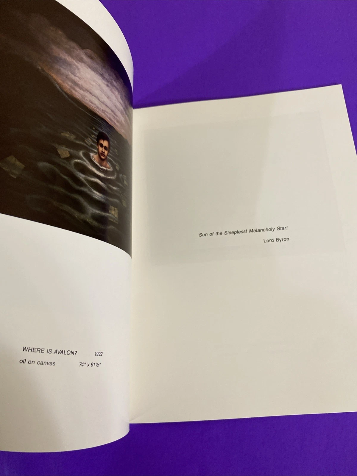 Roberto Marquez Unparallel Lives 1992 Riva Yares Gallery Catalog Santa Fe - Image 5