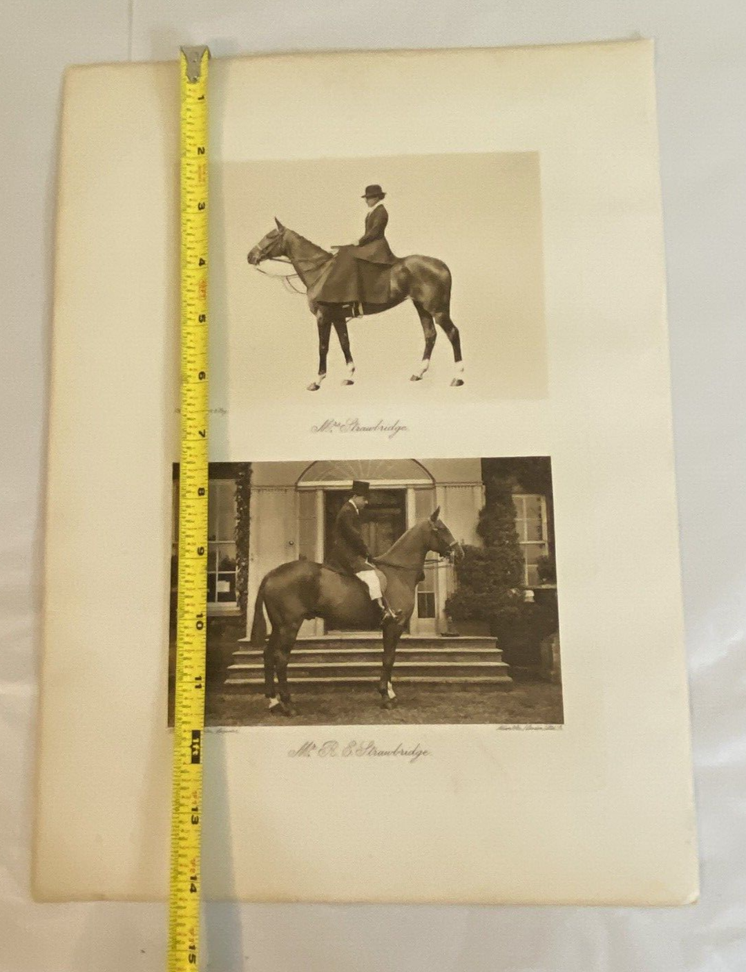 R.E. Strawbridge & Wife Elliott & Fry Photogravure on Horses for Fox Hunt - Image 6