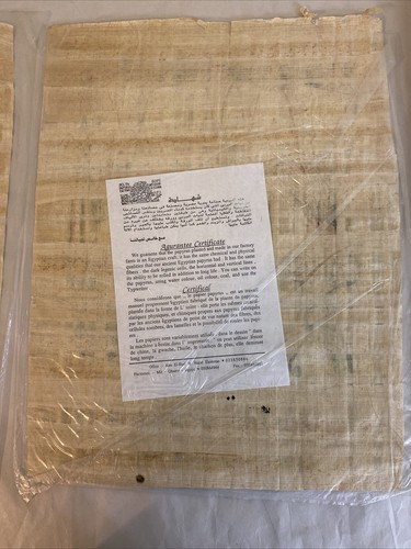 Two Egyptian Painting on papyrus paper with certificate from Delta papyrus - Image 5