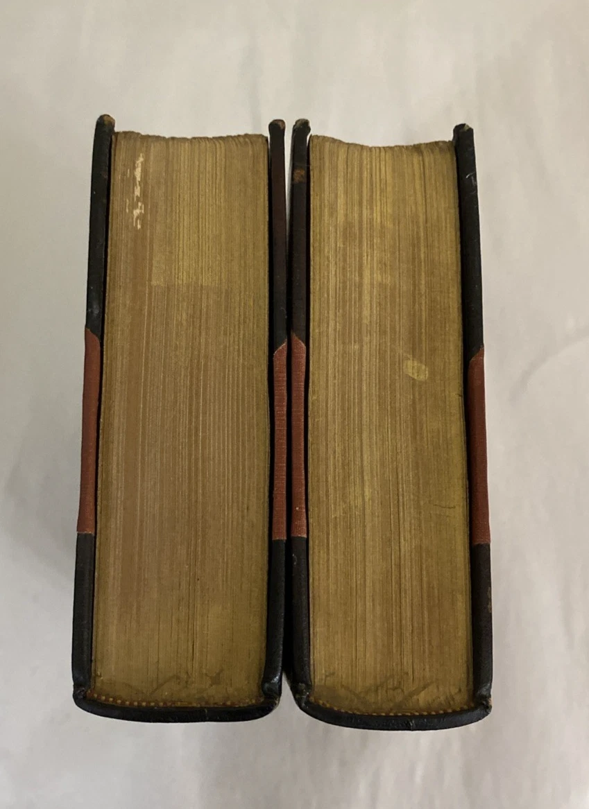 Romance of Leonardo da Vinci Merejkowski Putnam 2 Vol Set w/ 66 Illustrations HC - Image 2