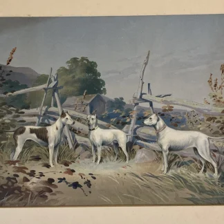 1880 Alexander Pope Jr. Prang chromolithograph: Three white dogs matted unframed