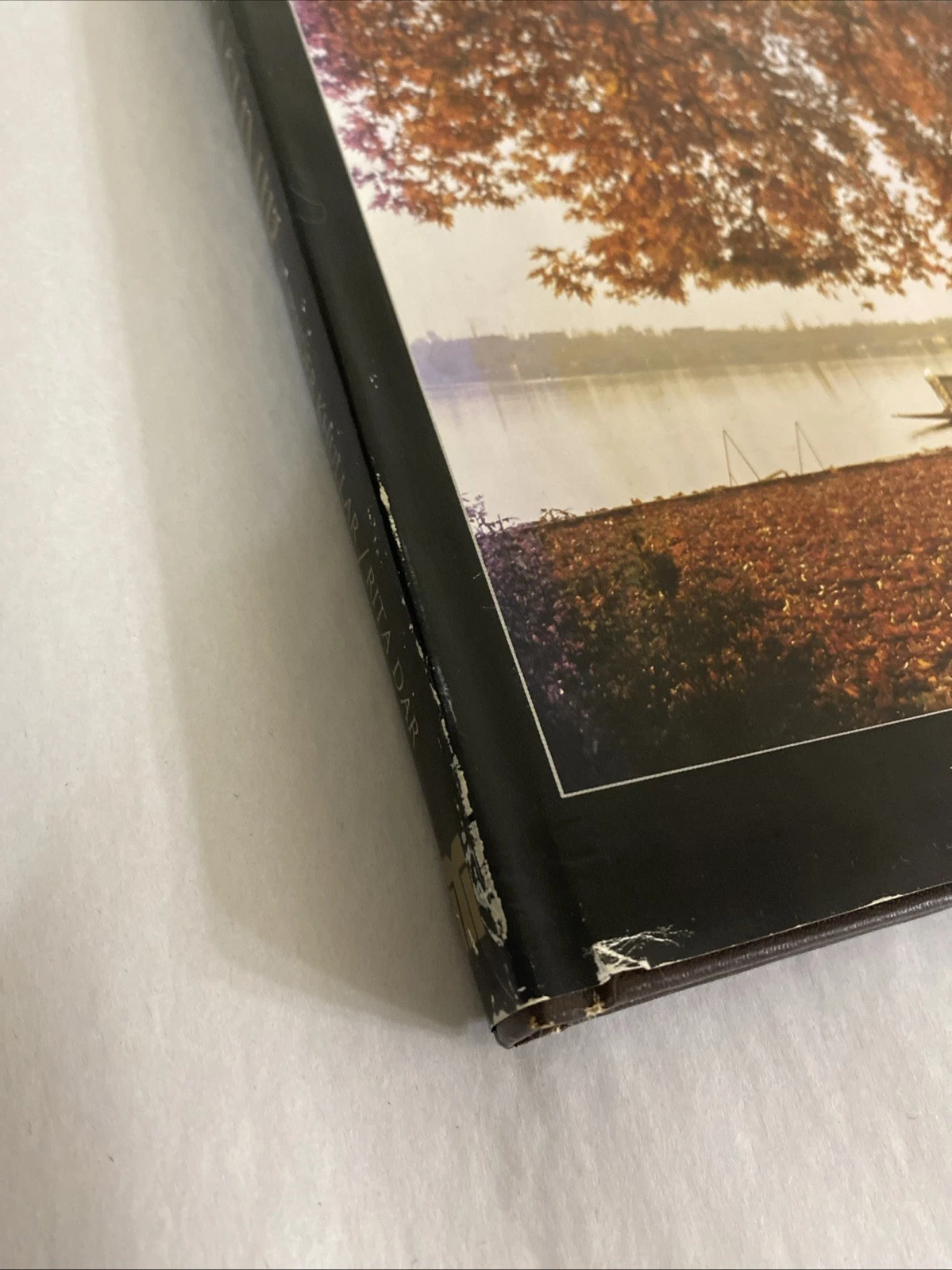 Kashmir Pageant of the Seasons 1987 Photo Book HC/DJ Signed Rita Dar Inscrd 1989 - Image 2