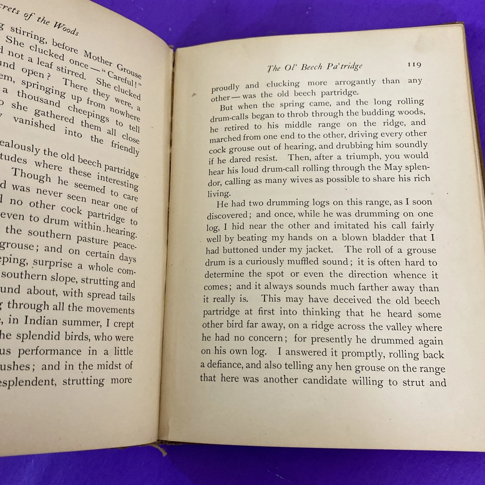 1902 Secrets of the Woods William J Long Charles Copeland Illustrated Antique HC - Image 12