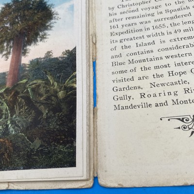 Souvenir Folder Of Beautiful Jamaica Vintage Antique Fold Out 1920s? - Image 6
