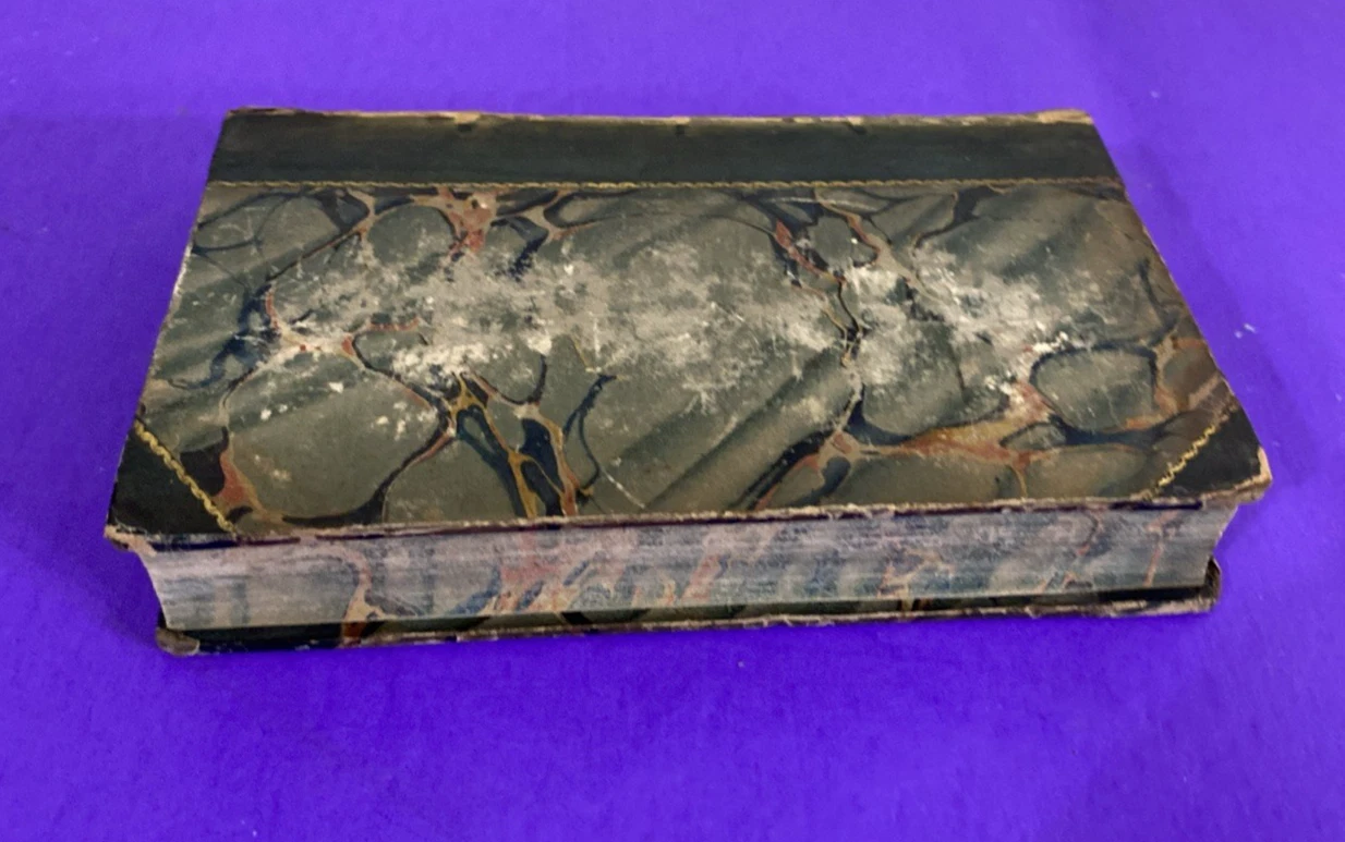 1826 Percy Anecdotes Vol X Humour Eccentricity George Colman Leather Book - Image 12