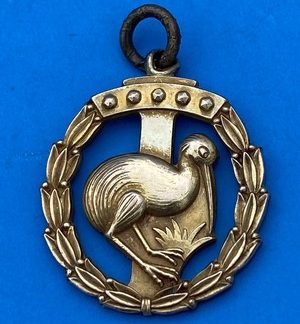 New Zealand 1962 Gold-Plated Kiwi Medal - Rare Historical Commemorative Piece