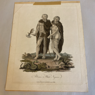 1797 Rare Colored Engraving - "Albinos or White Negros" by John Chapman, London