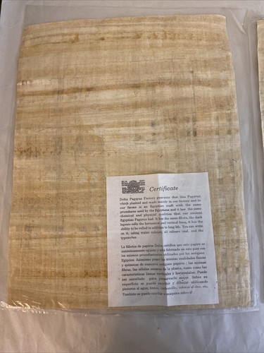 Two Egyptian Painting on papyrus paper with certificate from Delta papyrus - Image 4