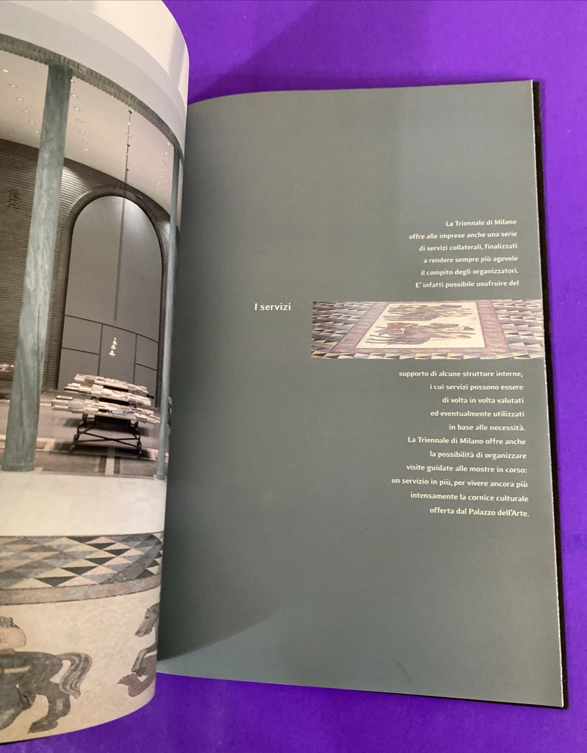 Palazzo della Triennale Brand by Design Milan Mazzotta Art Design Catalog Scarce - Image 8