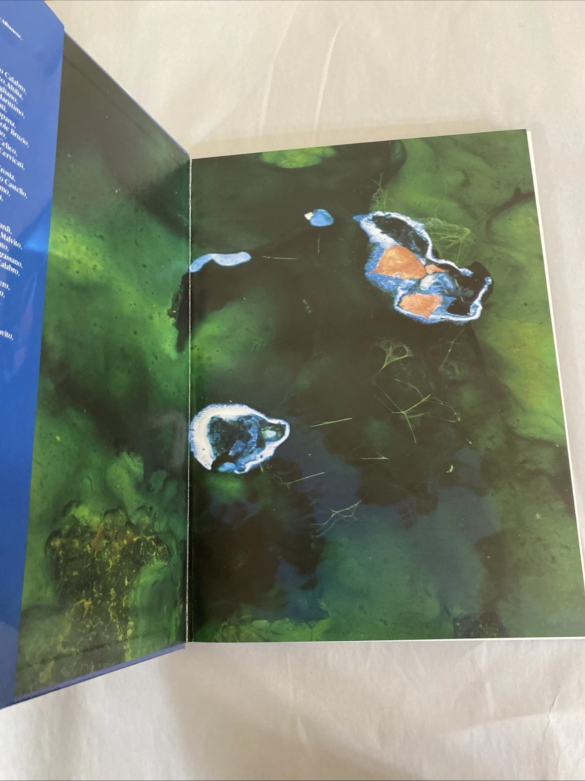 Suggestioni & Incanti Provincia di Cosenza Calabria Photo Book w Slipcase Deluxe - Image 6