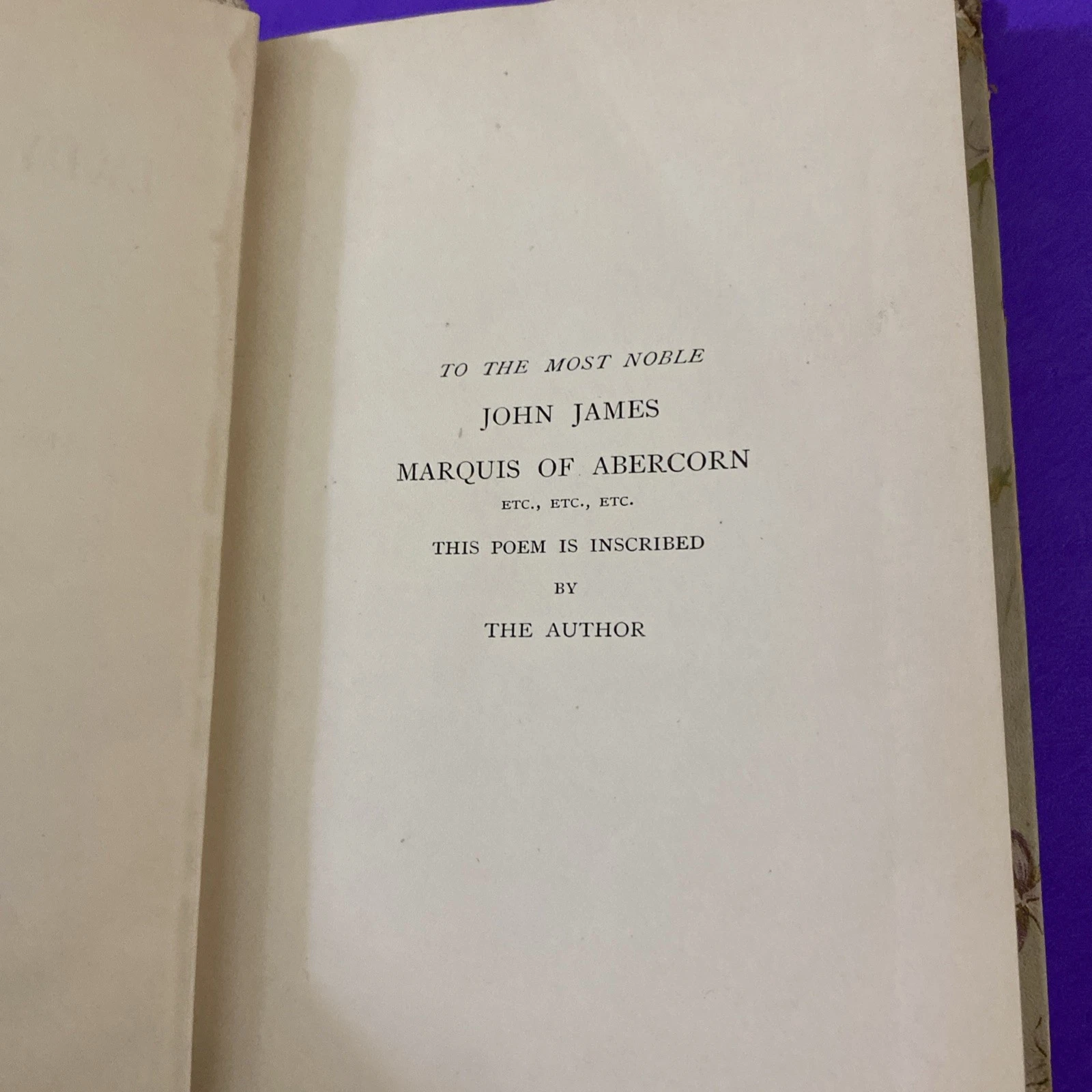 1892-1893 Lady of the Lake Walter Scott Crowell Victorian Floral Gift Binding HC - Image 9
