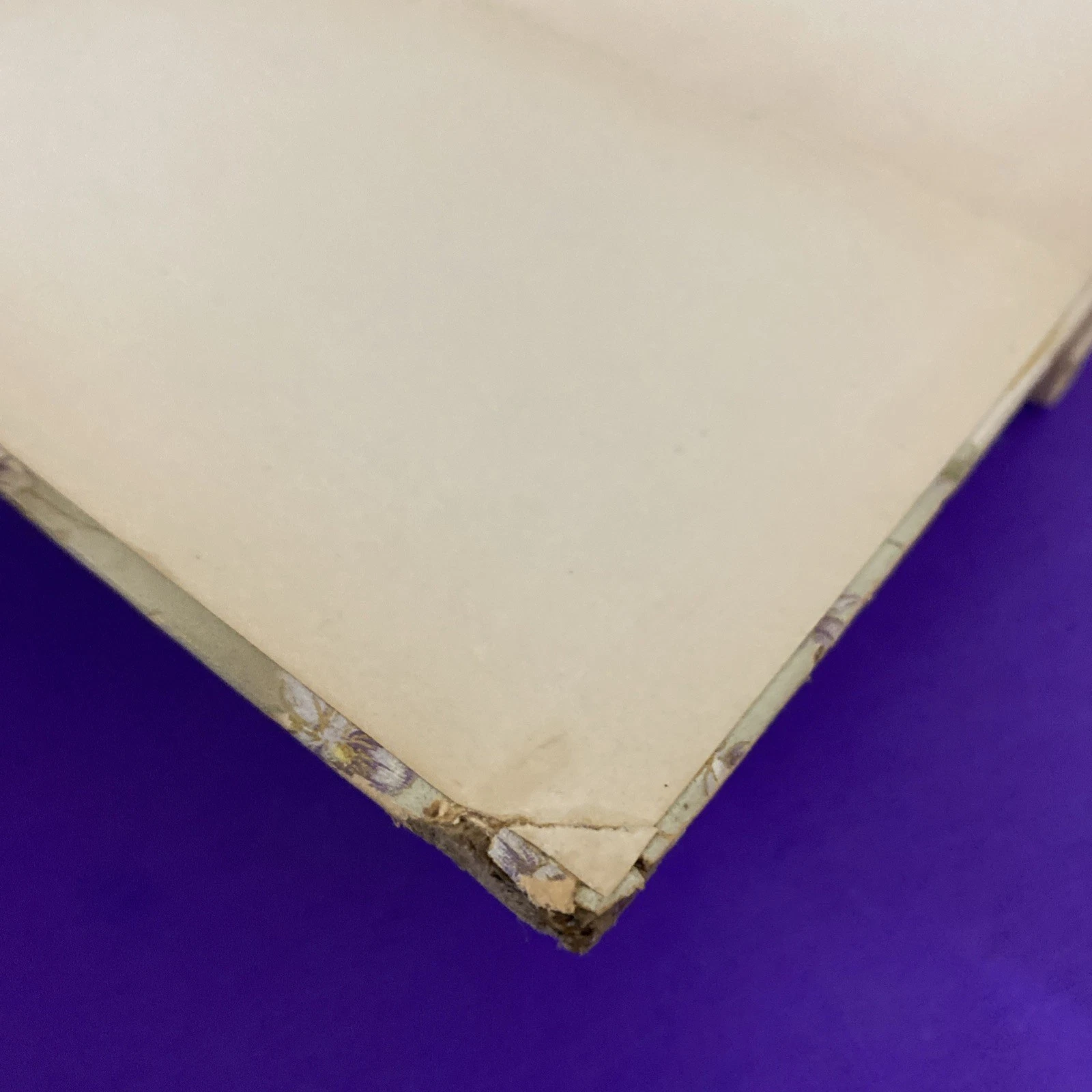 1892-1893 Lady of the Lake Walter Scott Crowell Victorian Floral Gift Binding HC - Image 4