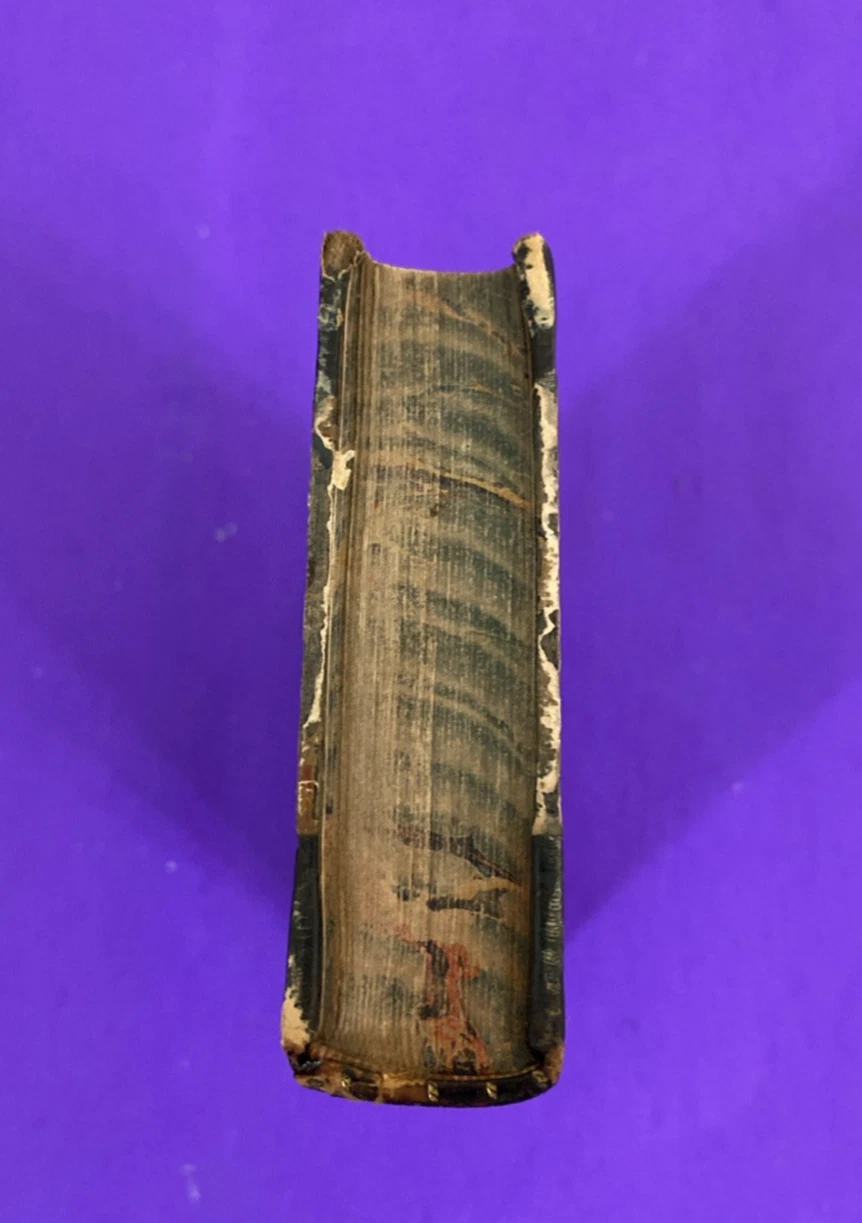 1826 Percy Anecdotes Vol IX Instinct Ingenuity John Rennie Leather Book - Image 2