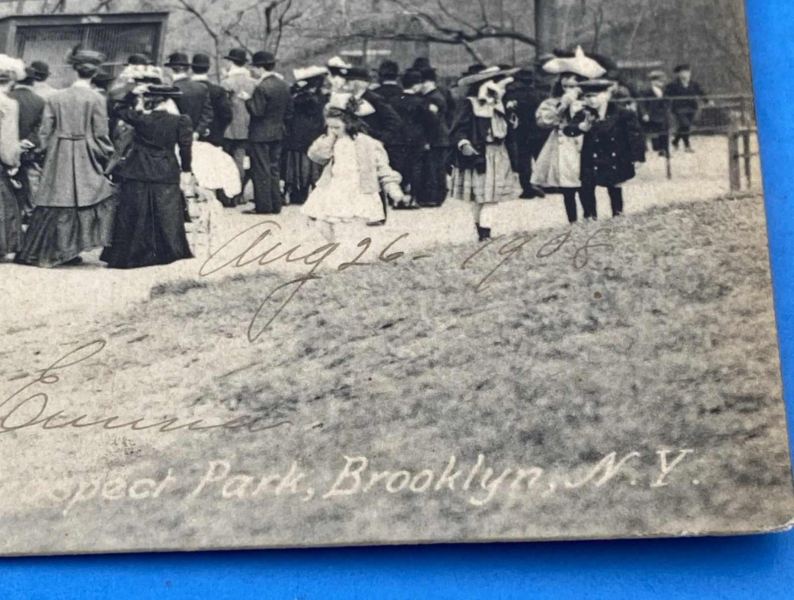 1908 Prospect Park Menagerie Brooklyn NY Rotograph D106 Zoo Postcard 1c Franklin - Image 2