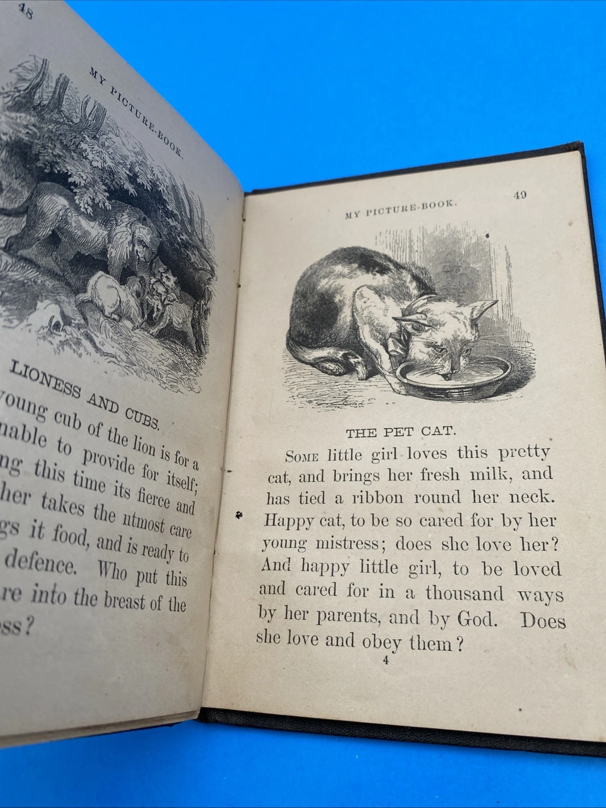 c.1860 My Picture-Book American Tract Society 1873 School Prize Illustrated Book - Image 8