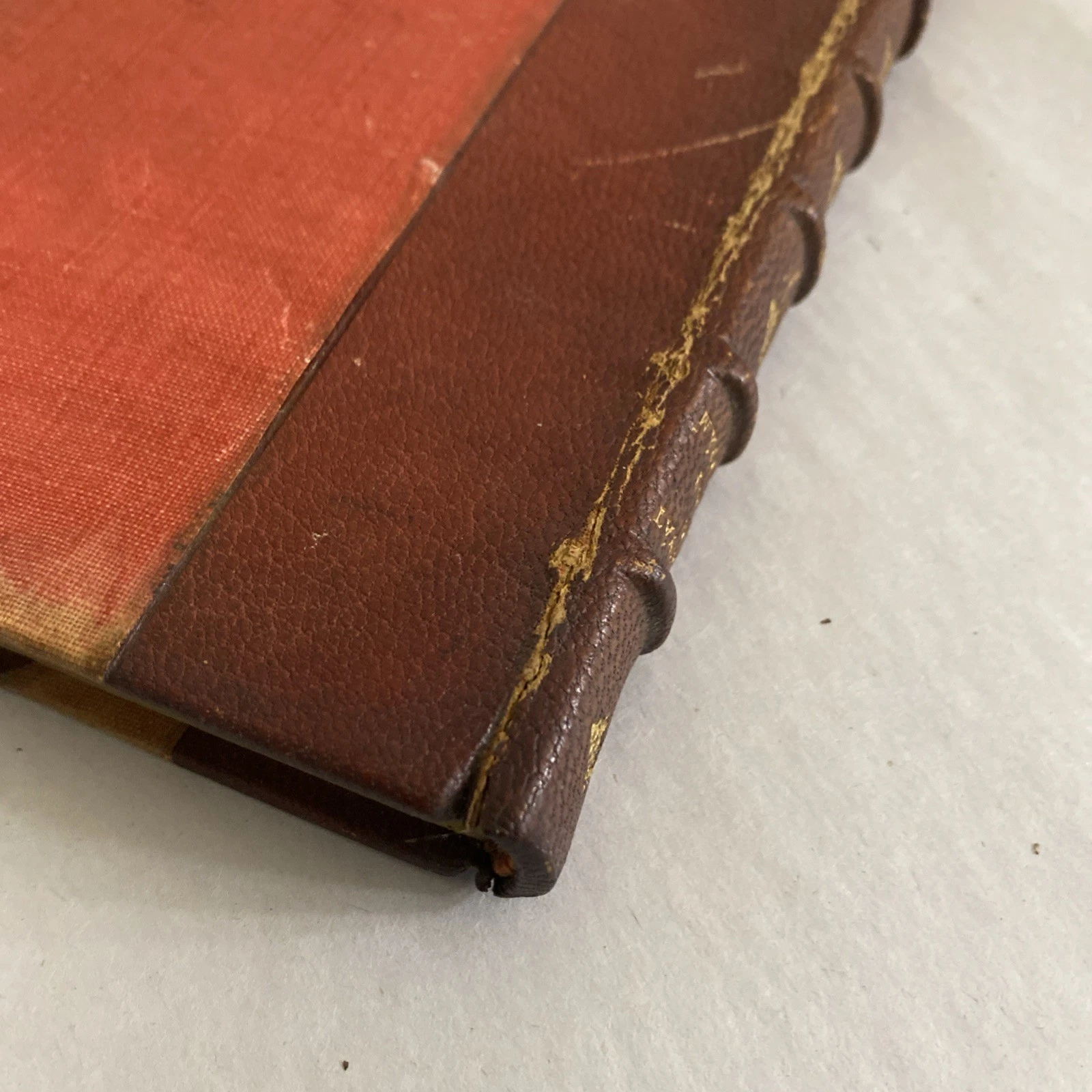 1899 Rubaiyat of Omar Khayyam Macmillan Golden Treasury Leather Spine Gilt Inscr - Image 3