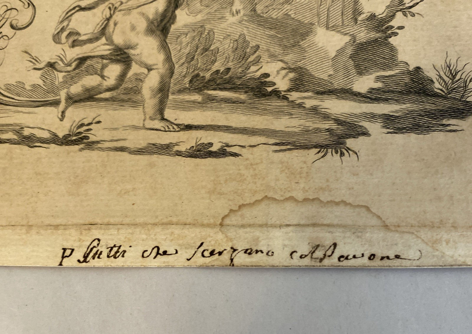 18th C. Cherubs with Peacock Engraving by G.B. Betti – Dilettanti Belle Arti - Image 4