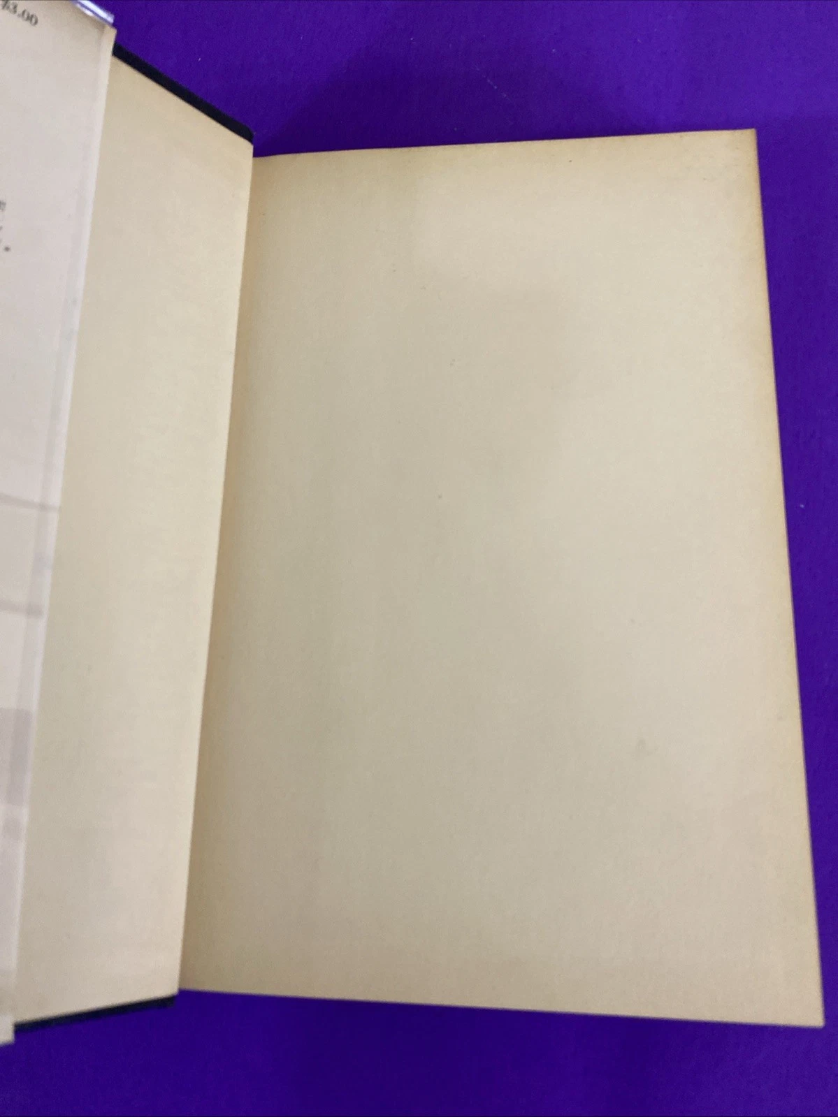 Wyndham Lewis Rotting Hill 1952 First American Edition Unclipped DJ - Image 3