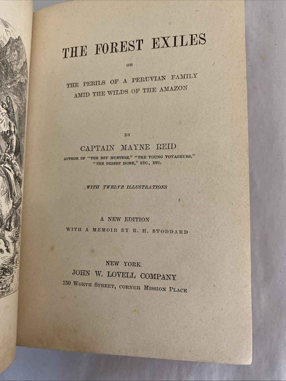 Forest Exiles Mayne Reid 1889 Lovell Victorian blue gilt boys adventure - Image 9