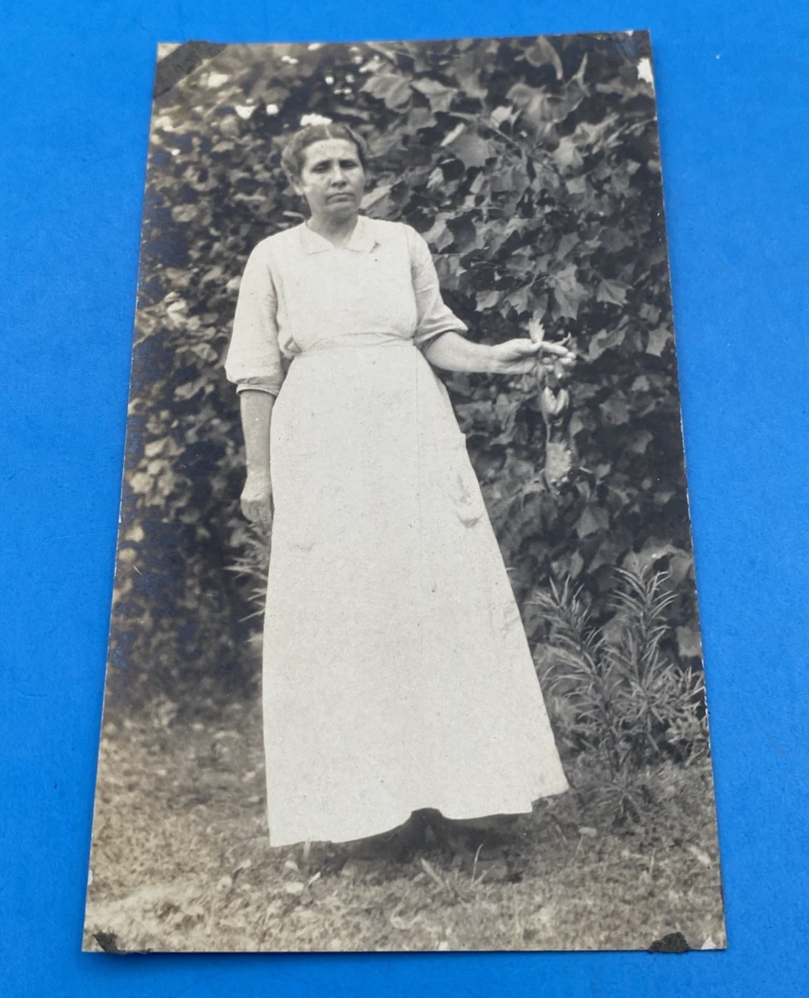 RPPC Woman Holding Frog, Garden, VELOX Stamp Box, c.1907–17, 3x5, Unused