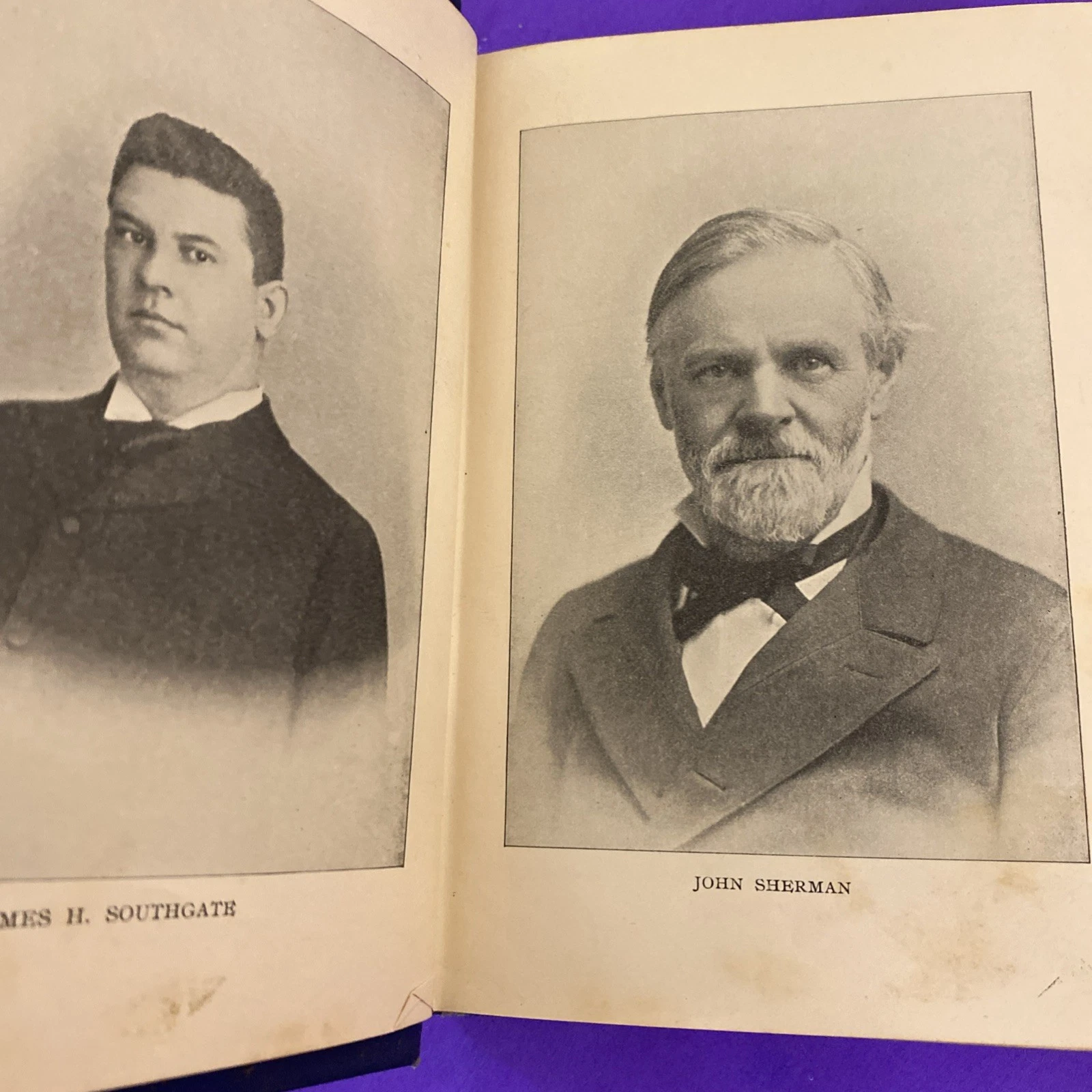 1896 The Great Campaign Prescott McKinley Bryan Gold Silver Political History HB - Image 6