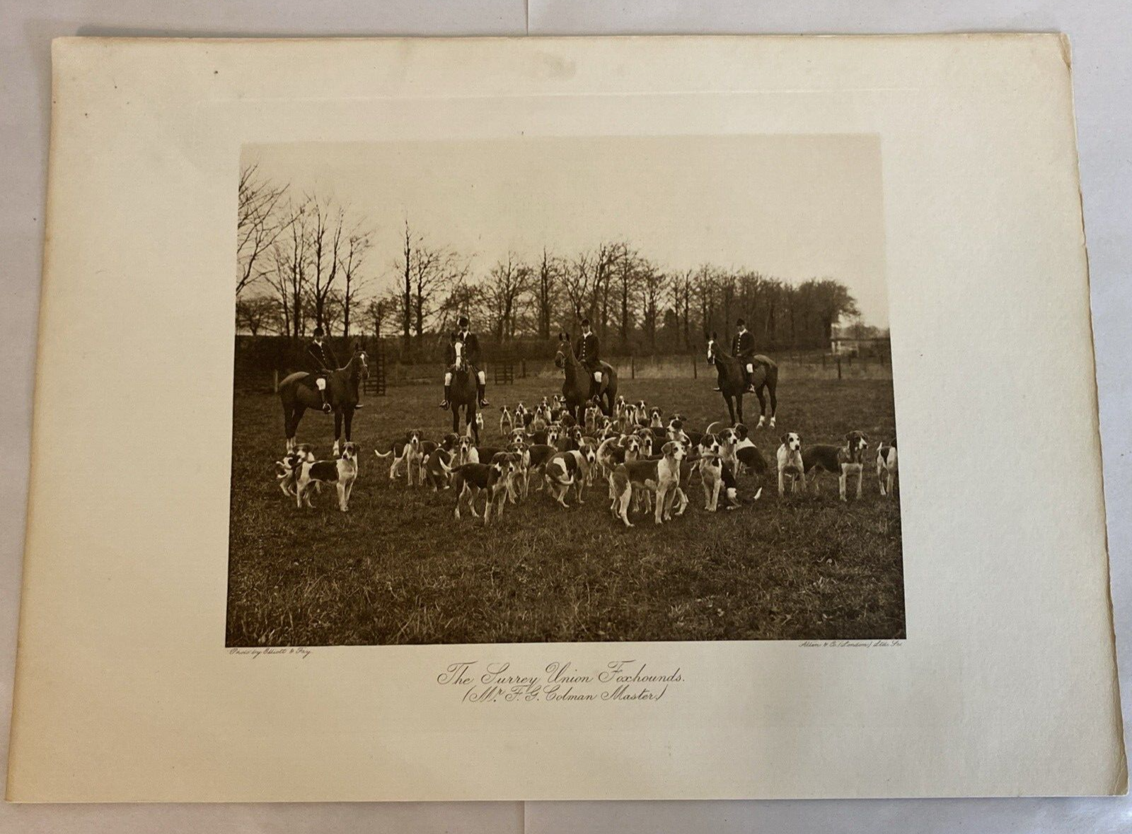 The Surrey Union Fox Hounds Elliott & Fry Photogravure on Horses for Fox Hunt
