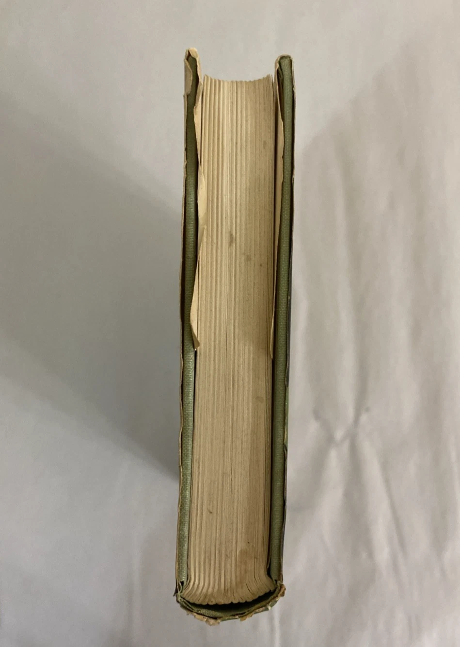 The Overloaded Ark By Gerald Durrell 1953 Hardcover - Image 4