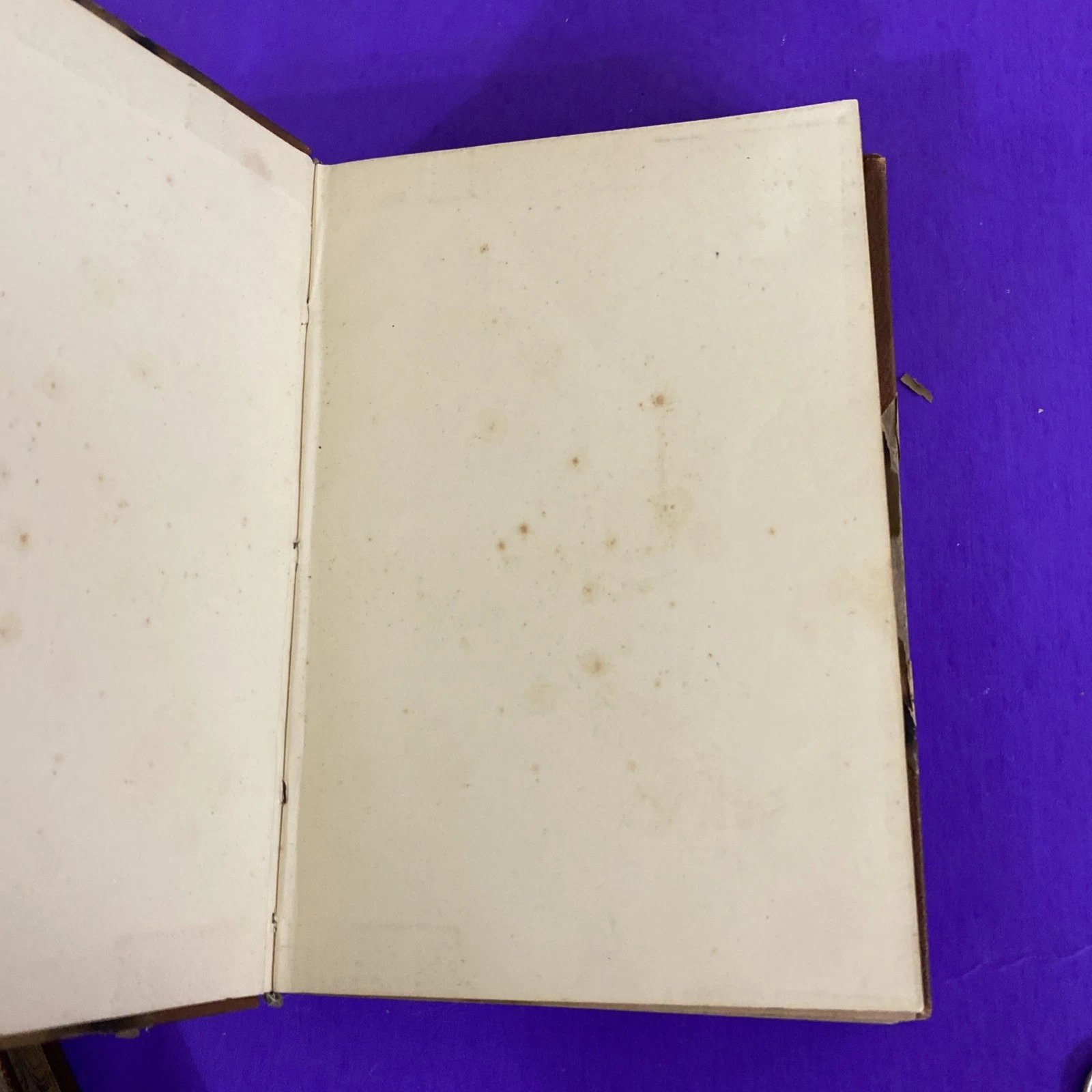 1901 Sienkiewicz Rodina Polanieckých Czech Antique Books Vol I & III - Image 11