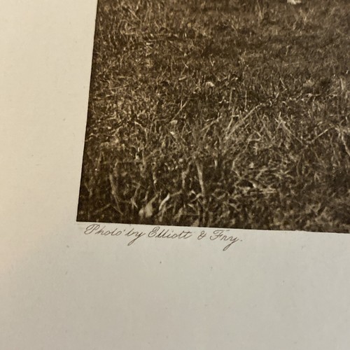 The Surrey Union Fox Hounds Elliott & Fry Photogravure on Horses for Fox Hunt - Image 2