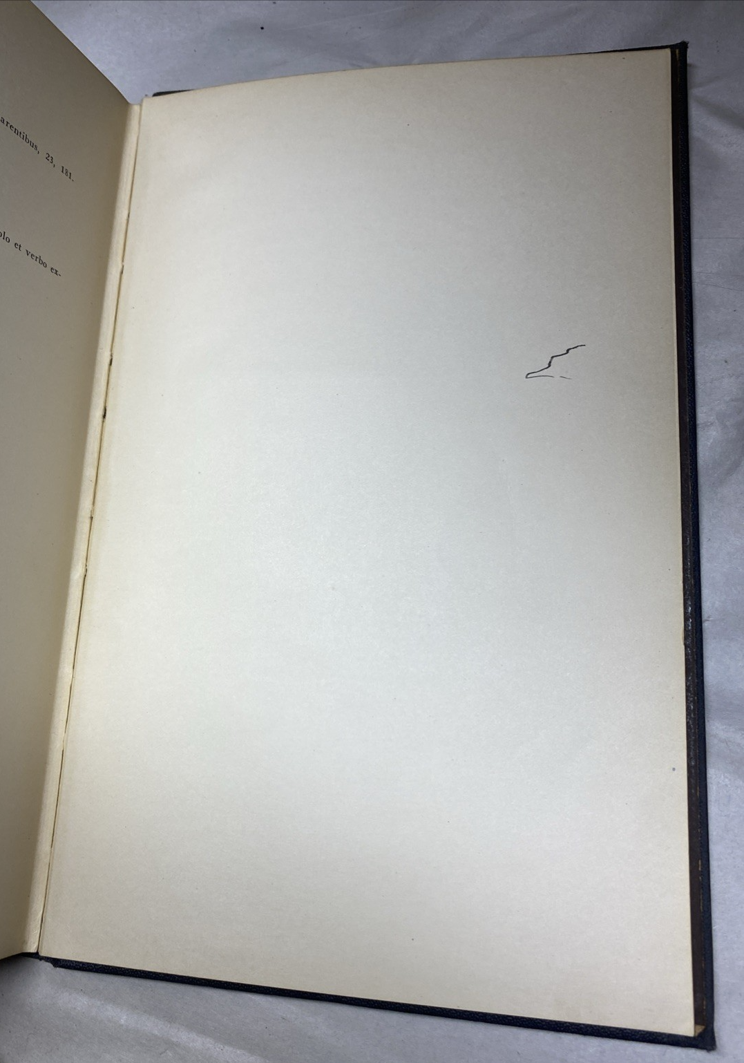 Thomas Edmundus Molloy / Constitutiones Dioecesanae Brooklynienses Quas 1St 1926 - Image 7