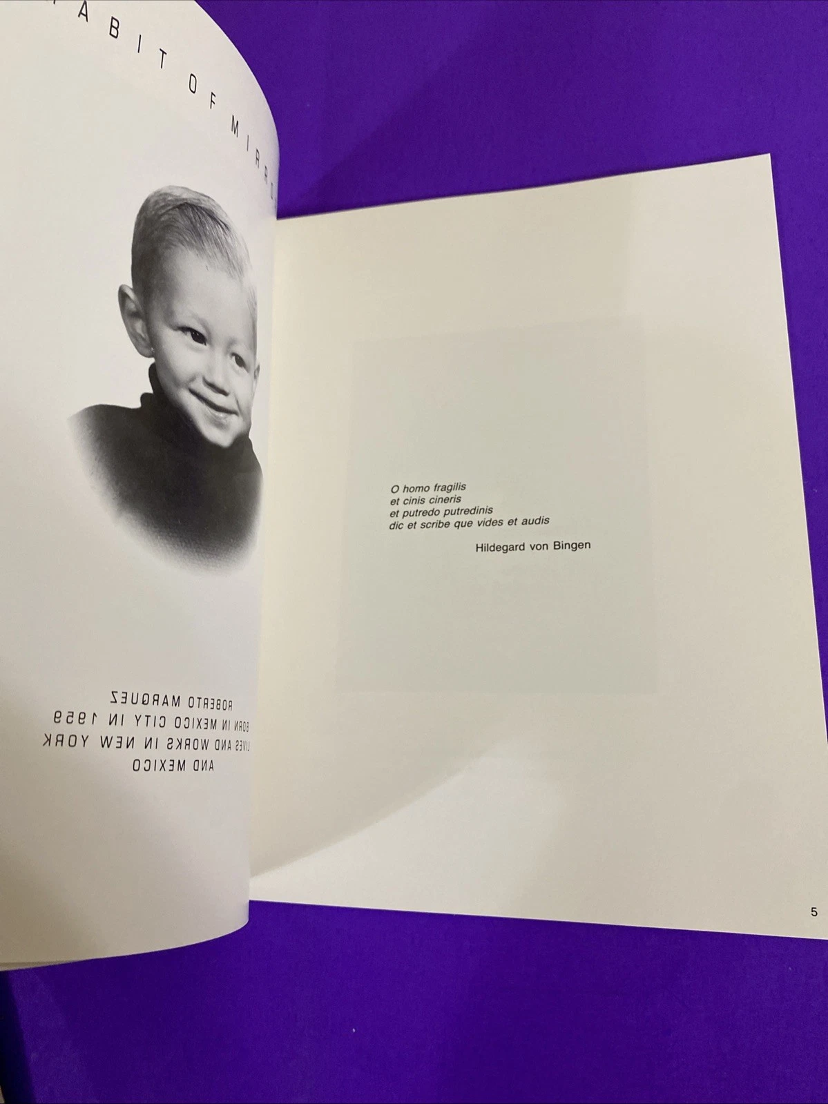 Roberto Marquez Unparallel Lives 1992 Riva Yares Gallery Catalog Santa Fe - Image 4
