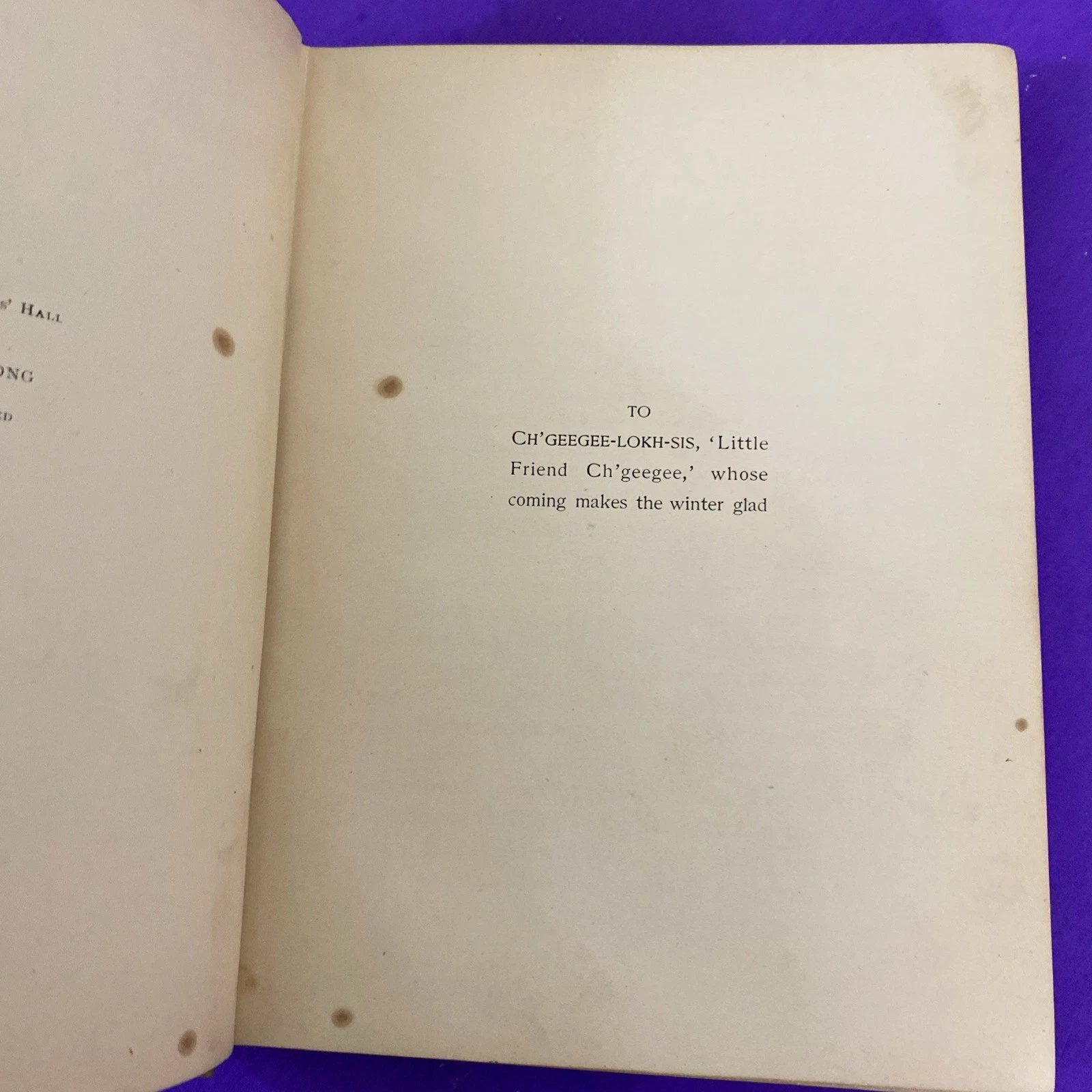 1902 Secrets of the Woods William J Long Charles Copeland Illustrated Antique HC - Image 7