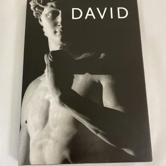 David: Michelangelo by Aurelio Amendola