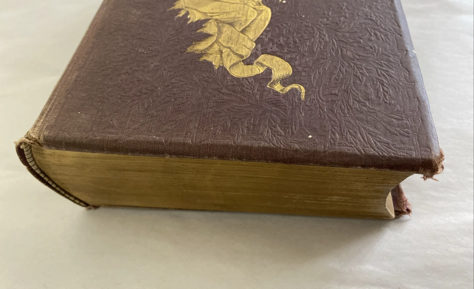 1890 Local and National Poets of America Herringshaw gilt edges illustrated book - Image 6