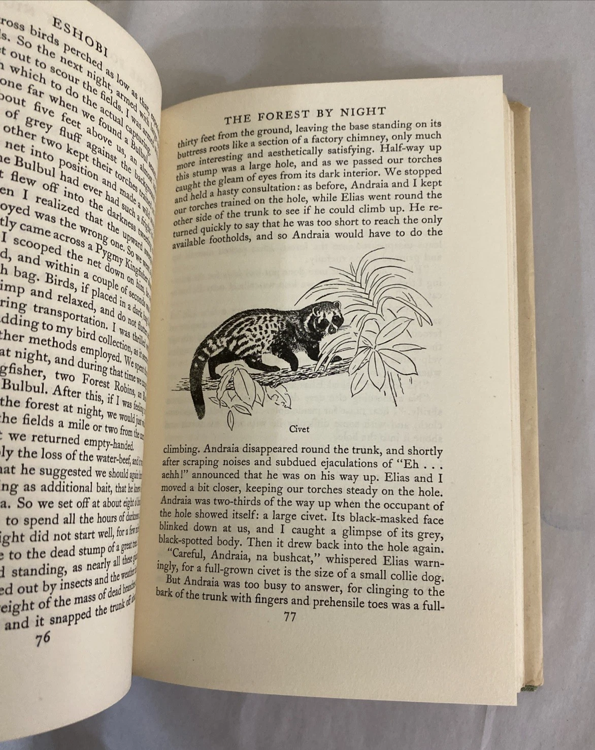 The Overloaded Ark By Gerald Durrell 1953 Hardcover - Image 10
