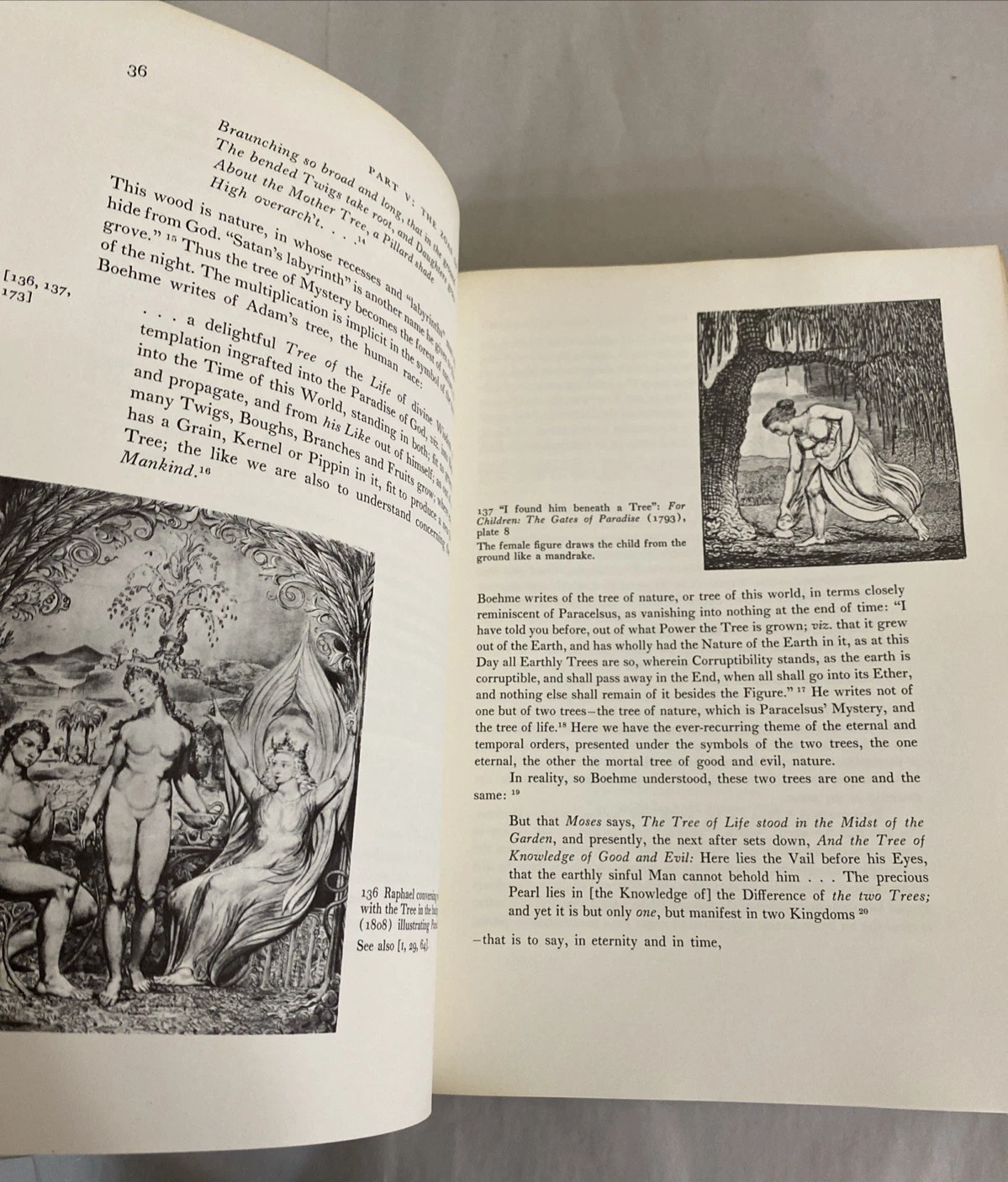 Blake and Tradition Vol II Kathleen Raine 1968 Bollingen Princeton Ex-Library HC - Image 11
