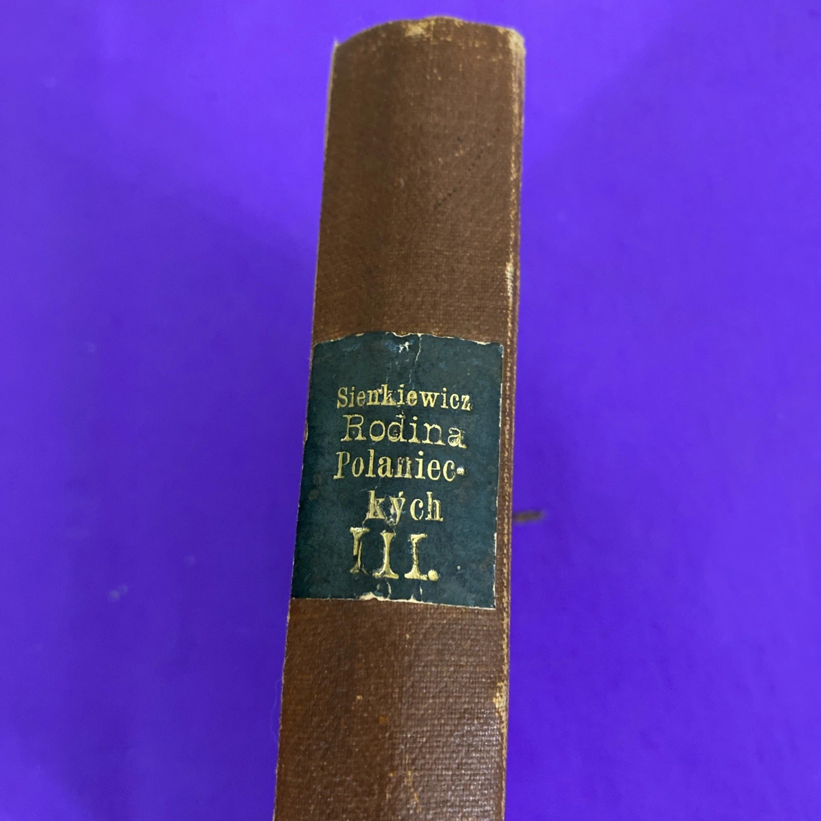1901 Sienkiewicz Rodina Polanieckých Czech Antique Books Vol I & III - Image 10